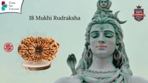 18 Mukhi Natural Rudraksha