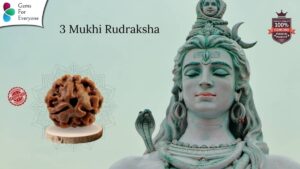 3 Mukhi Natural Rudraksha