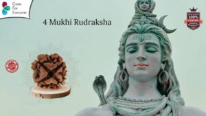 4 Mukhi Natural Rudraksha