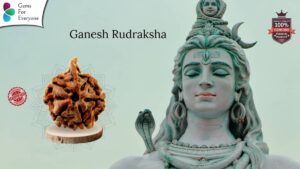 Ganesh Natural Rudraksha