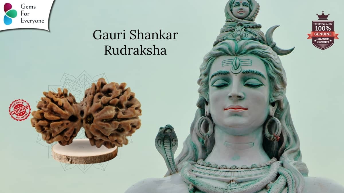Gauri Shankar Natural Rudraksha